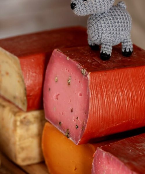 кольоровий-сир-щаслива-підкова